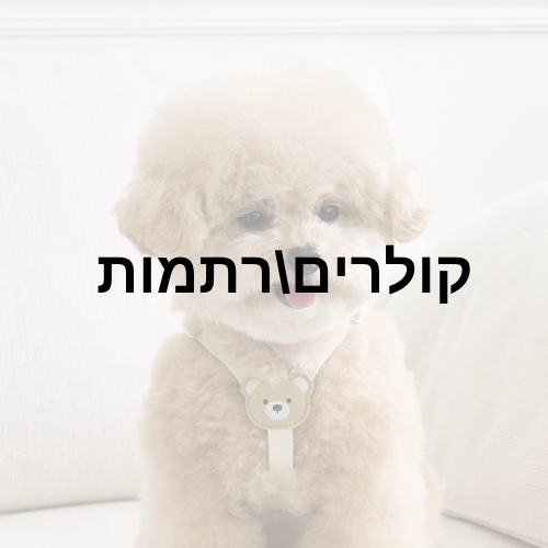 קולרים\רתמות