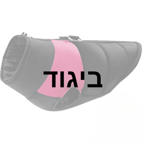 ביגוד