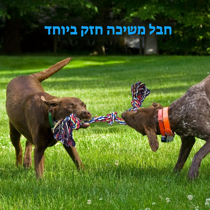 חבל משיכה לכלבים עמיד במיוחד